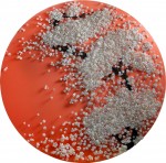 Инсталляция | Ran Hwang | 04