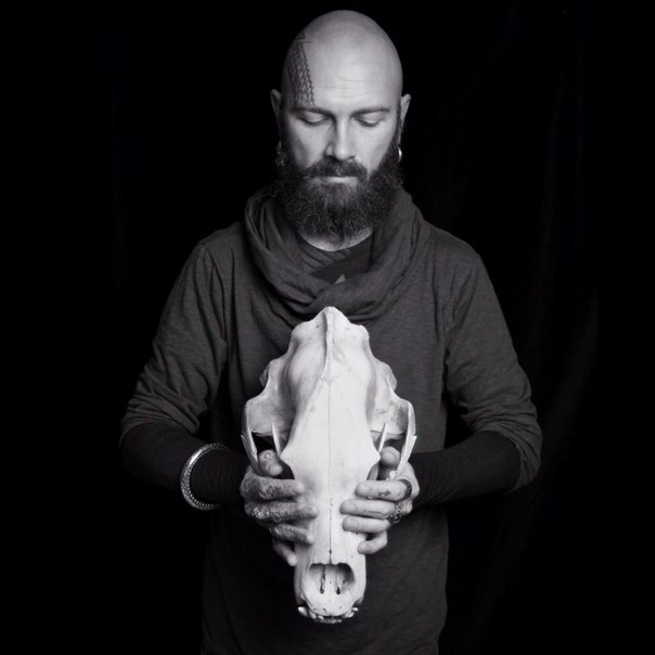 Художник Михаил Колесников