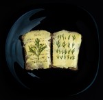 Фотография | Анна Ермолова | 18