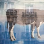 Фотография | Мария Воробьева | Зеркало Города | 05