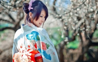 Кимоно (着物)