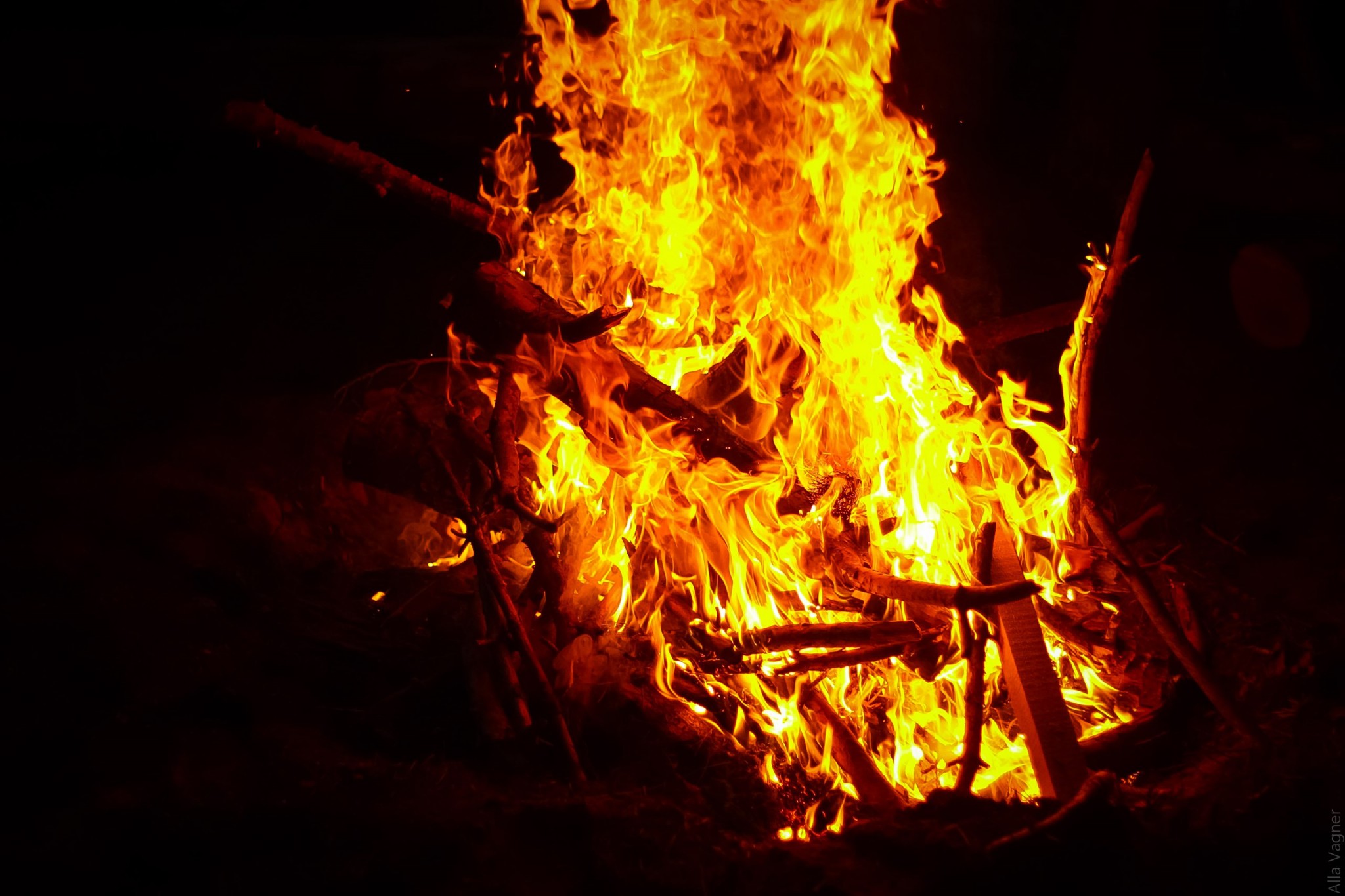 Фестиваль Forest Quest. Костер