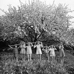 Фотография | Romualdas Rakauskas | Цветение | 05