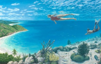 Роберт Гонсалвес и его иллюзии