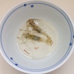 Скульптура | Keng Lye | The Little Prawn