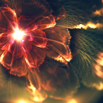 Цифра | Сильвия Кордедда | Eternal Dance