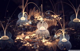 Компьютерная графика: Сильвия Кордедда