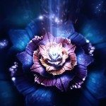 Цифра | Сильвия Кордедда | Underwater