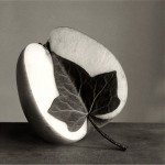 Фотография | Чема Мадоз