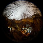 Фотография | Егор Никифоров | Autumn Illusion