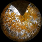 Фотография | Егор Никифоров | Five Minutes before the Winter