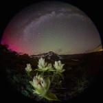 Фотография | Егор Никифоров | Ordinary Miracle