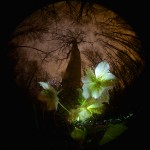 Фотография | Егор Никифоров | Spring Rain