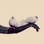 Фотография | Katia Mi