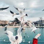 Фотография | Katia Mi