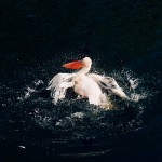 Фотография | Katia Mi