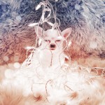 Фотография | Katia Mi