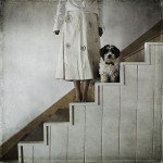 Фотография | Хайди Лендер | Once Upon