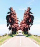 Фотография | Тереза Фрейташ