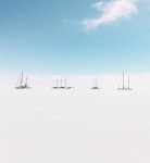 Фотография | Тереза Фрейташ