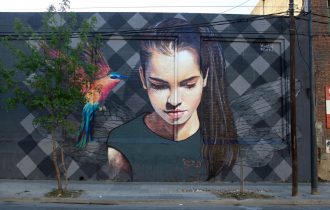 Мартин Рон – преображение реальности