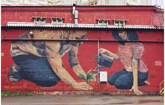 Уместные – что дальше?