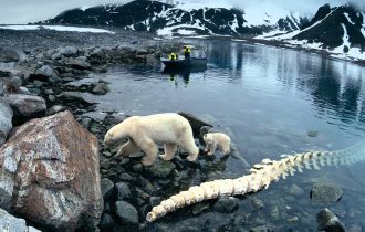 Белое безмолвие. Artifex в Арктике