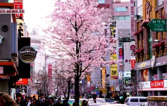 Неизвестная Корея