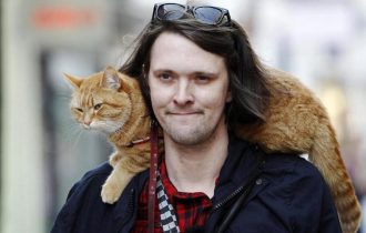 Уличный кот по имени Боб