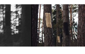 Анна Третьякова. Об эфемерных состояниях