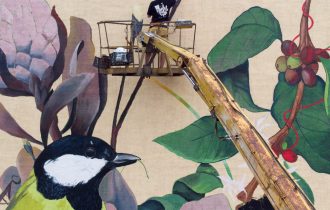 Ches: Художник Без Граней и Рамок