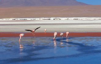 Анна Пшишилны - она снимает Южную Америку